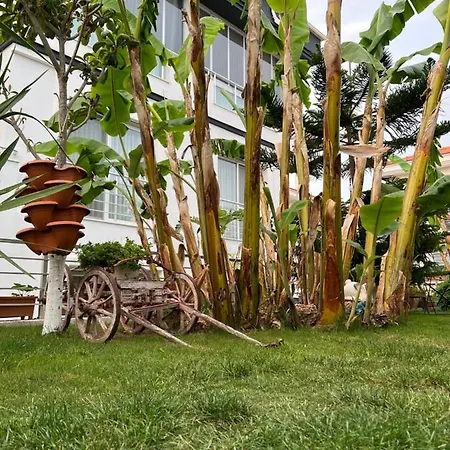 Luna 4* Alaçatı