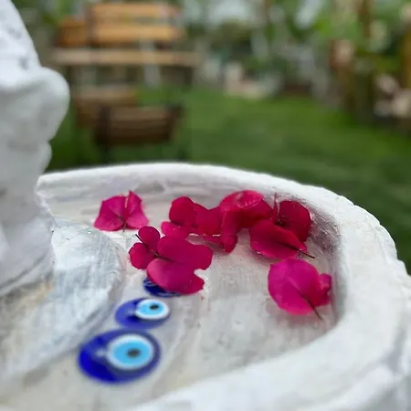 Bed & Breakfast Luna Alaçatı