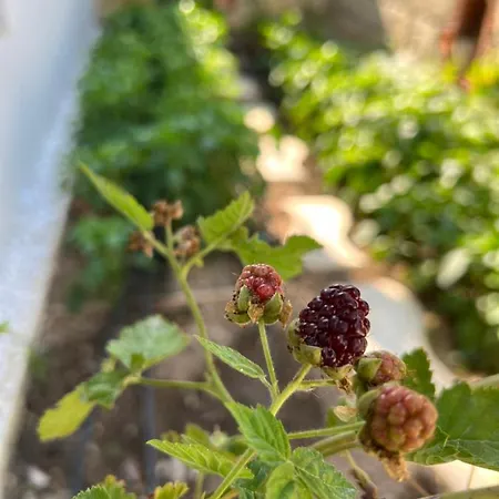 Bed & Breakfast Luna 4*