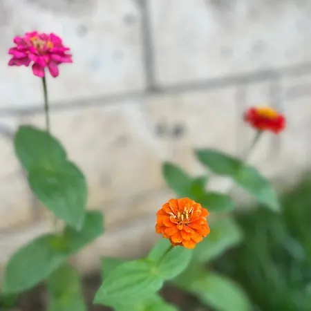 Luna לינה וארוחת בוקר אלאקאטי