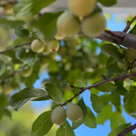 Luna 4* Alaçatı