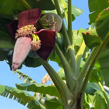 Bed & Breakfast Luna 4*