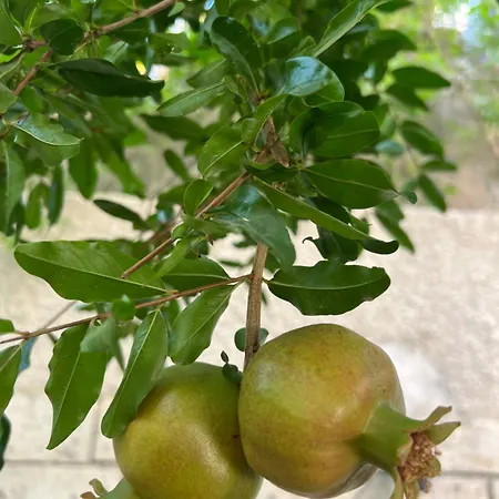 Luna Alacati