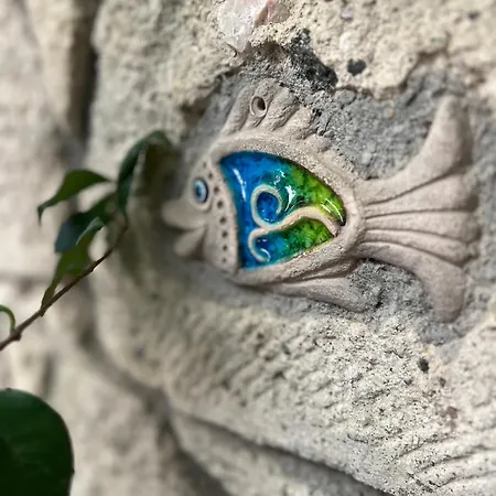 Luna Отель типа 