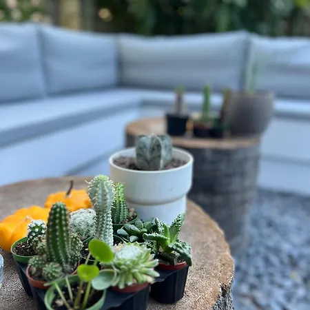 Luna Bed & Breakfast 4*