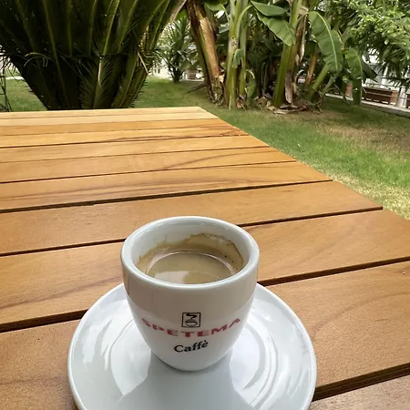 לינה וארוחת בוקר Luna