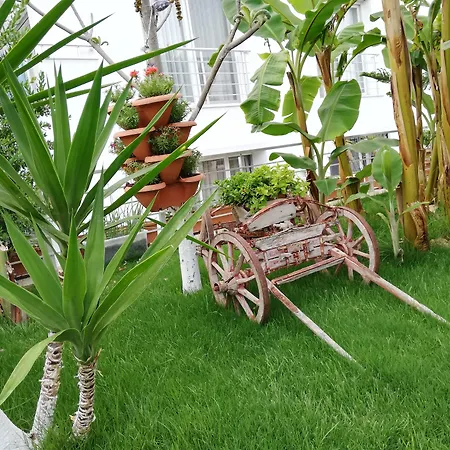 Bed & Breakfast Luna Alaçatı