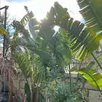 Luna Frühstückspension 4*