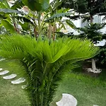 Luna Alaçatı