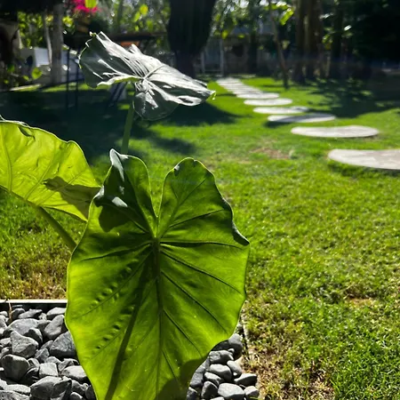 Panzió Luna Alacati