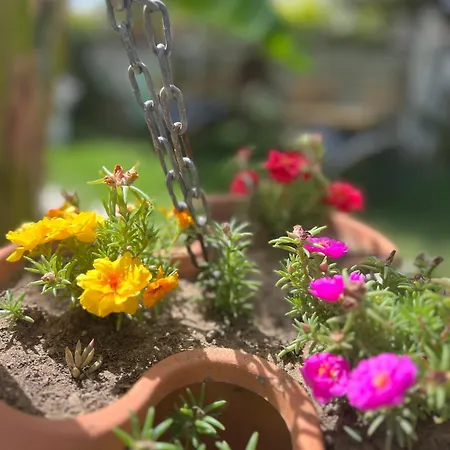 Frühstückspension Luna 4*