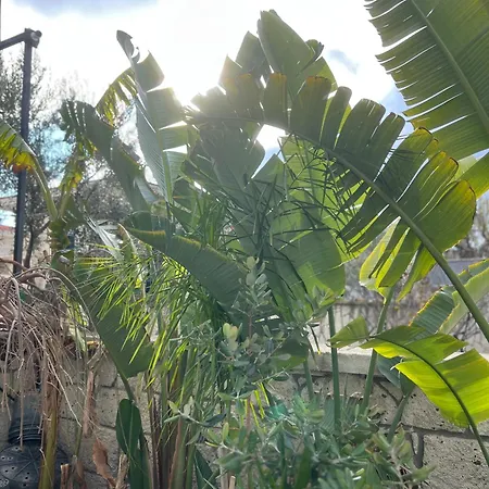 Luna Frühstückspension 4*