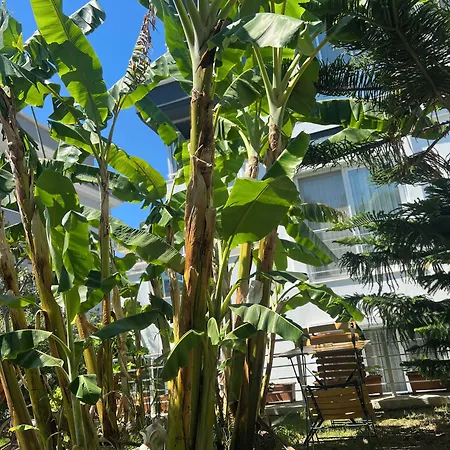 Panzió Luna Alacati