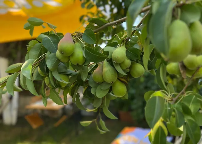 Luna Oda ve Kahvaltı