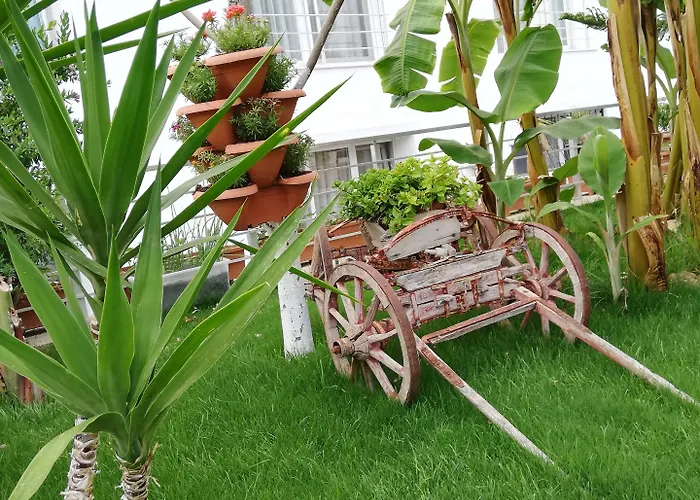 Oda ve Kahvaltı Luna Alaçatı
